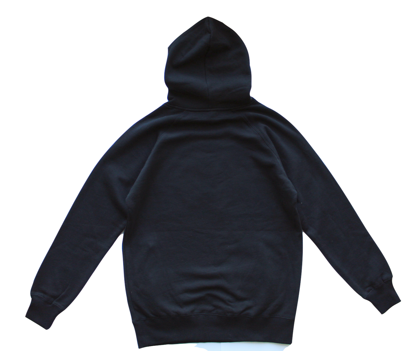 TSP Amsterdam Lion Hoodie backside, Black