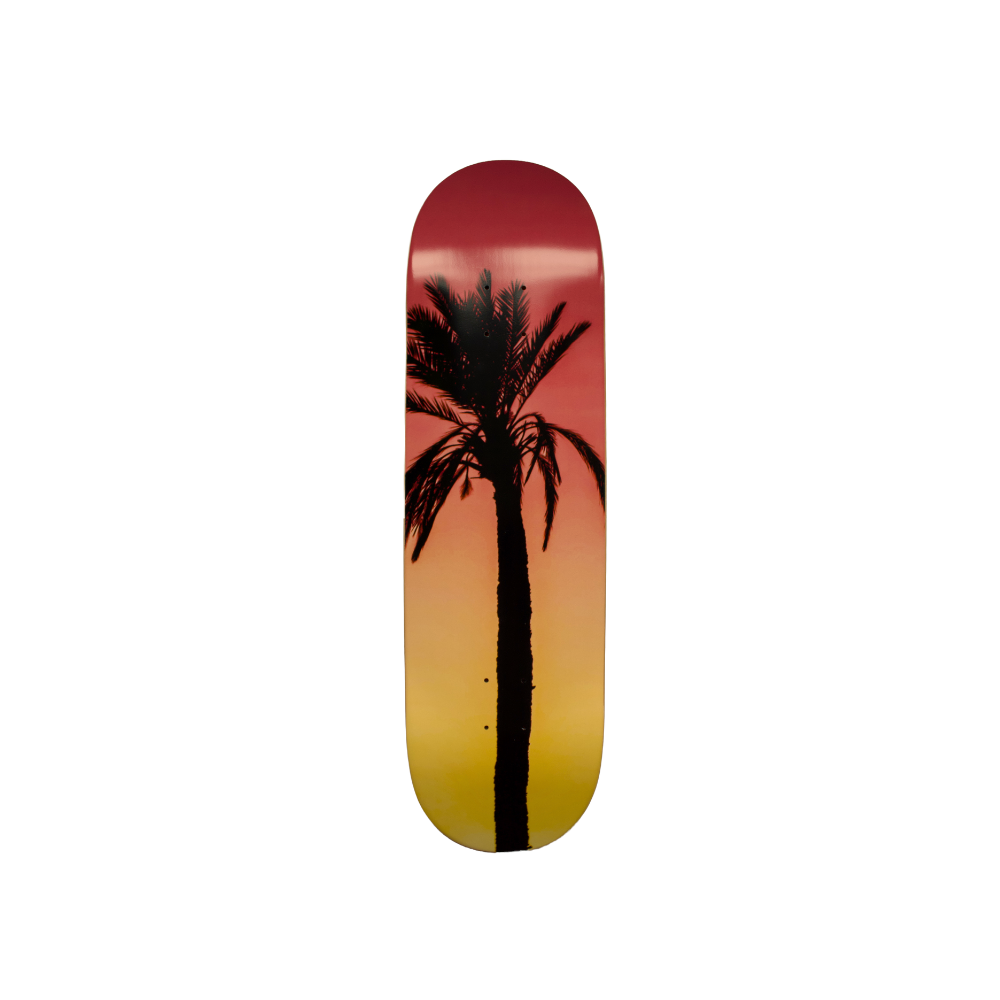 TSP Amsterdam Palm Tree: 8.0" / 8.25" / 8.5"