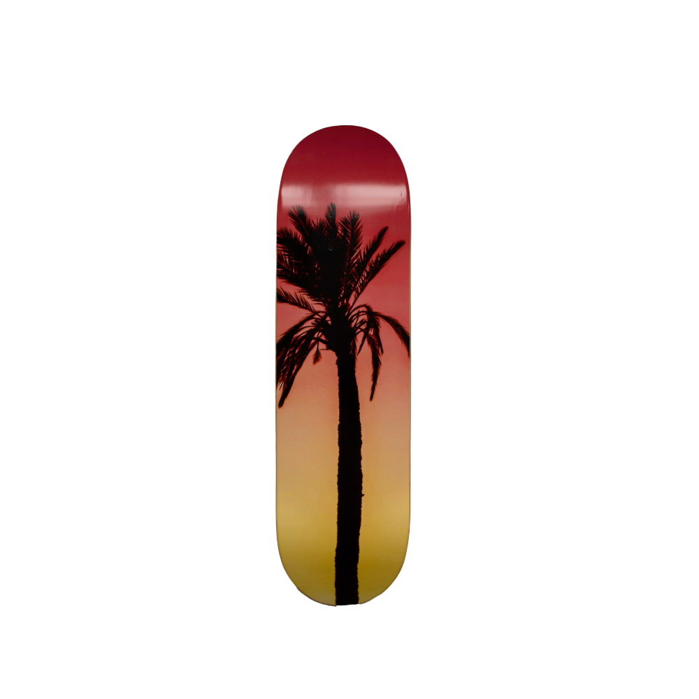 TSP Amsterdam Palm Tree: 8.0" / 8.25" / 8.5"